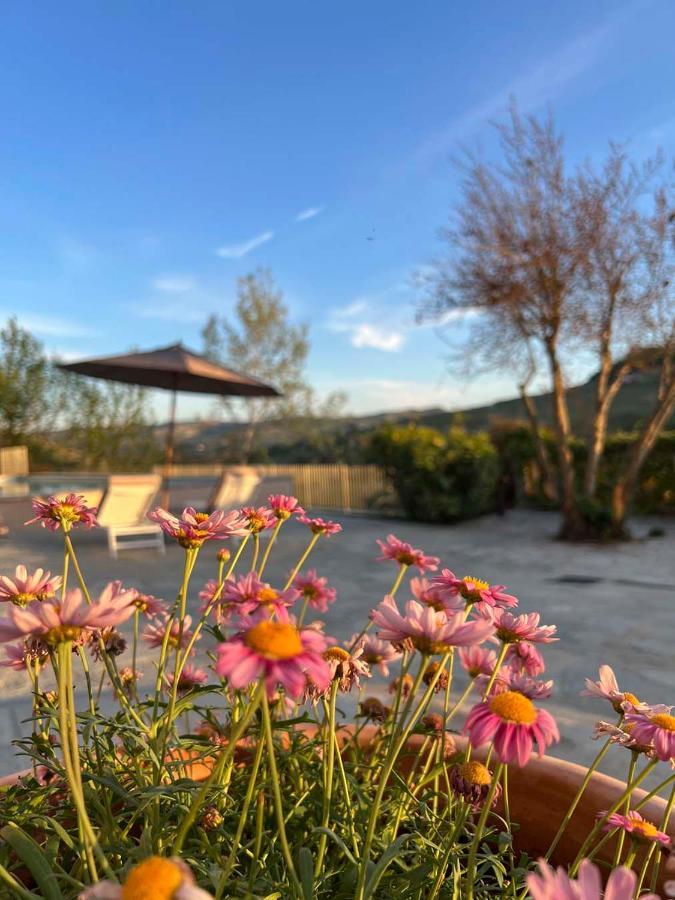 Villa Giara Calosso Екстер'єр фото